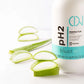 PH2 Mask