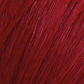 Pigments - Red .6 ULTRA-CONCENTRATED PIGMENTS (Bottle - 90 ml)